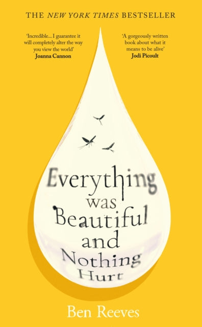 Everything was Beautiful and Nothing Hurt : The gorgeous, uplifting top ten bestseller for summer 2026-9781805465799