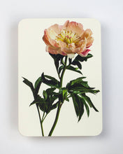 Load image into Gallery viewer, Peony
