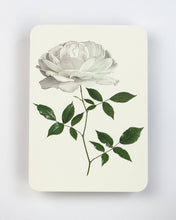 Load image into Gallery viewer, White Rose
