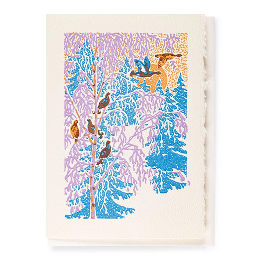 Winter Birds