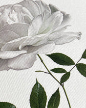 Load image into Gallery viewer, White Rose

