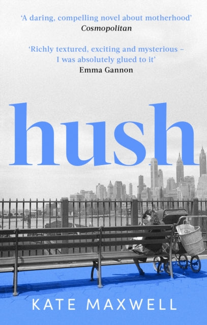 Hush : The heartbreaking and life-affirming debut novel which tells the truth about motherhood-9780349015095