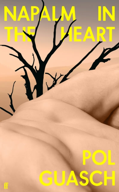Napalm in the Heart : 'A punk explosion of a novel' FINANCIAL TIMES-9780571375257