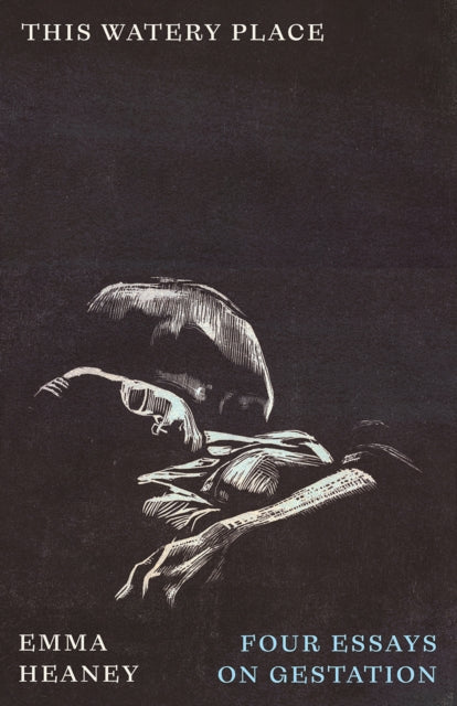 This Watery Place : Four Essays on Gestation-9780745350141