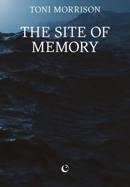 The Site of Memory-9781068591891