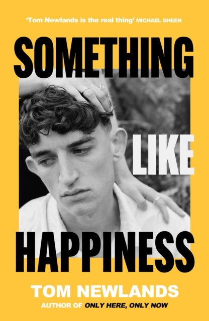 Something Like Happiness-9781399607940