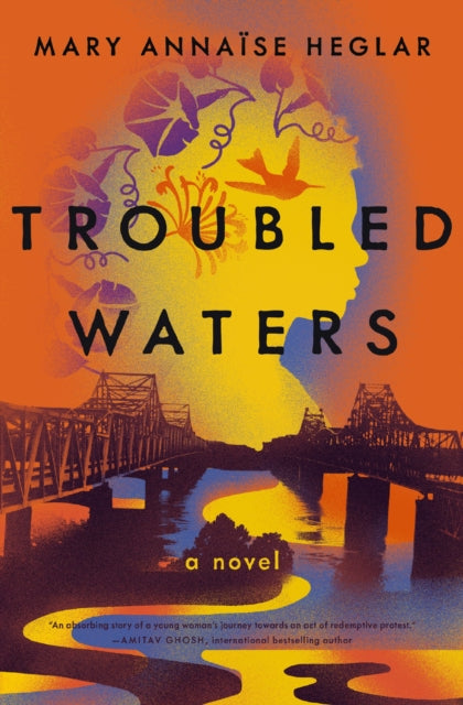 Troubled Waters : A Novel-9781400248117