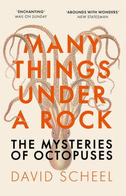 Many Things Under a Rock : The ‘mind-blowing’ book that reveals the mysteries of the octopus, perfect reading for summer 2025-9781529392647