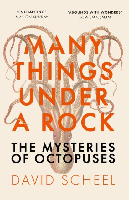 Many Things Under a Rock : The ‘mind-blowing’ book that reveals the mysteries of the octopus, perfect reading for summer 2025-9781529392647