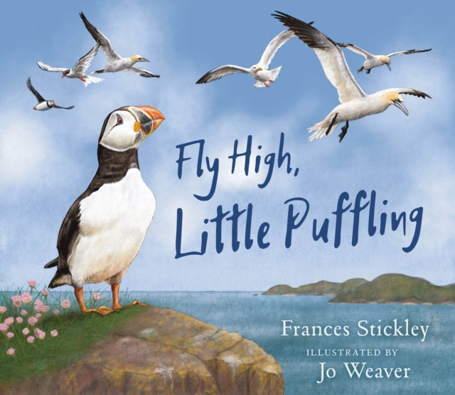 Fly High, Little Puffling-9781780279060