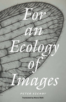 For an Ecology of Images-9781804294314
