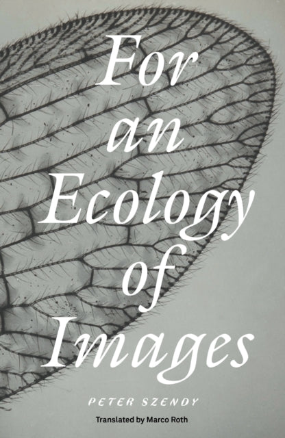 For an Ecology of Images-9781804294314