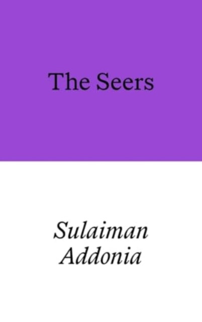 The Seers by Sulaiman Addonia