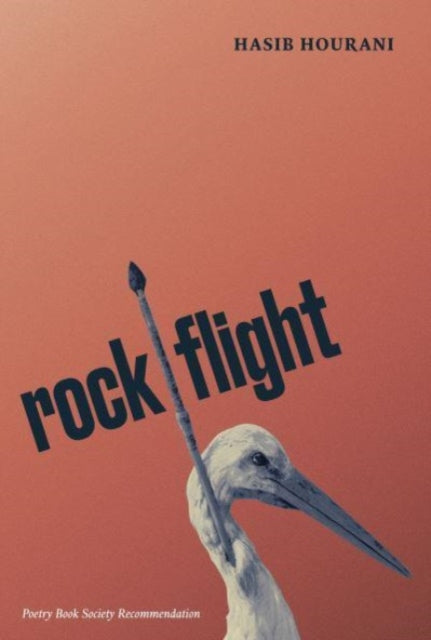 rock flight by Hasib Hourani