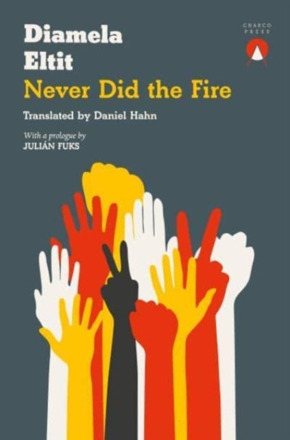 Never Did the Fire-9781913867218