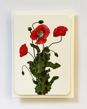 Load image into Gallery viewer, Wild Poppies
