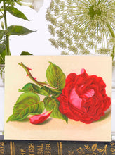 Load image into Gallery viewer, Rose
