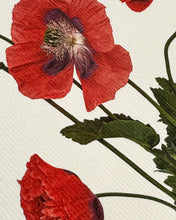 Load image into Gallery viewer, Wild Poppies

