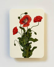 Load image into Gallery viewer, Wild Poppies

