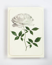 Load image into Gallery viewer, White Rose
