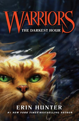 The Darkest Hour : Book 6-9780007140077