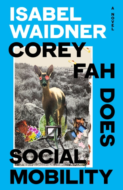 Corey Fah Does Social Mobility-9780241632536