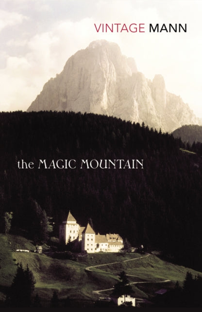 The Magic Mountain-9780749386429