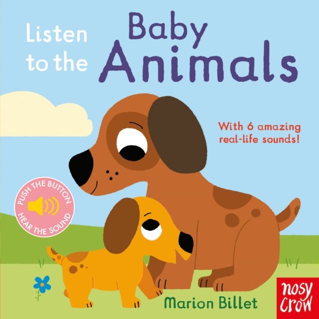 Listen to the Baby Animals-9780857638663