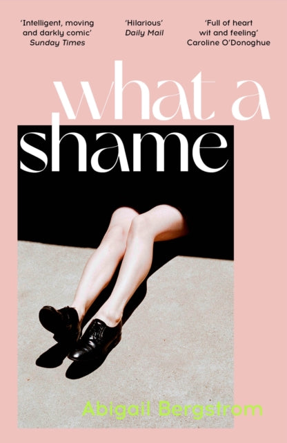 What a Shame : 'Intelligent, moving and darkly comic' The Sunday Times-9781529367065