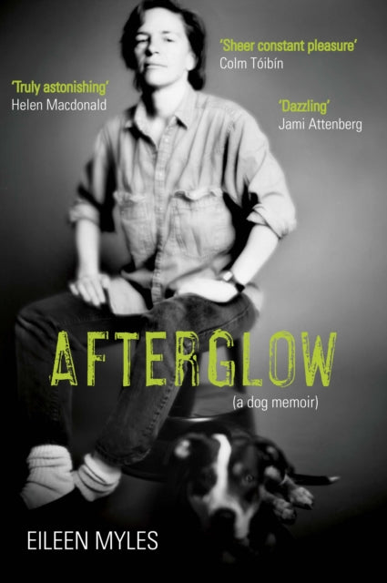 Afterglow : A Dog Memoir-9781611855098