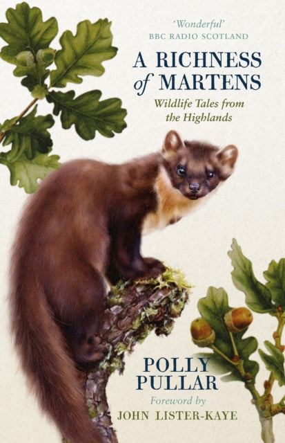 A Richness of Martens : Wildlife Tales from the Highlands-9781780276366