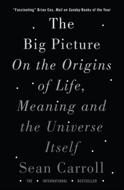 The Big Picture : On the Origins of Life, Meaning, and the Universe Itself-9781786071033