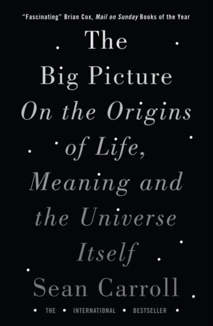 The Big Picture : On the Origins of Life, Meaning, and the Universe Itself-9781786071033
