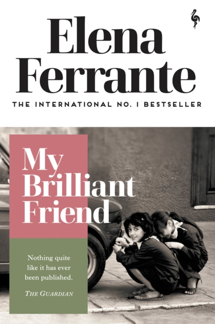 My Brilliant Friend-9781787702226