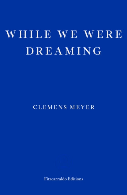 While We Were Dreaming-9781804270288