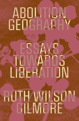 Abolition Geography : Essays Towards Liberation-9781839761713