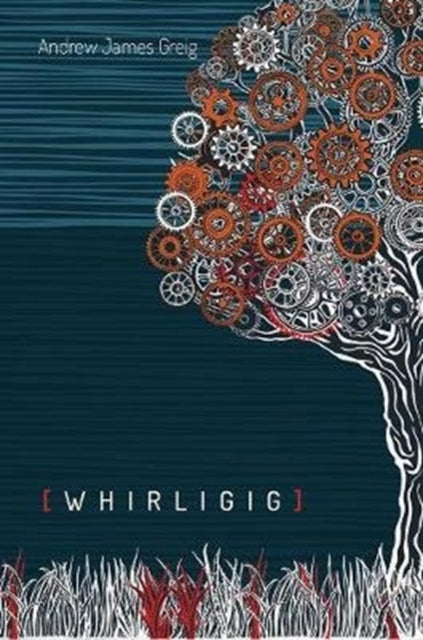 Whirligig by Andrew J Greig