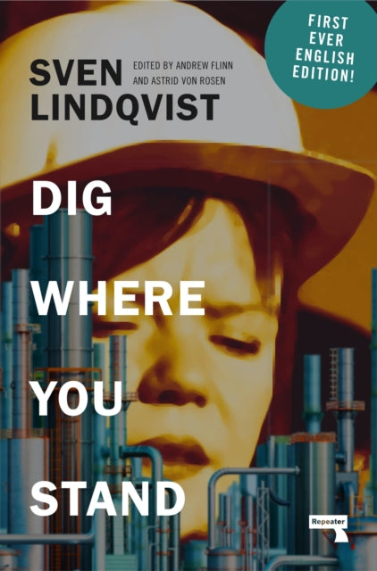 Dig Where You Stand : How to Research a Job-9781914420955